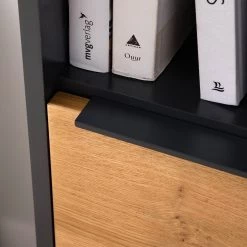 Red Living Buffet haut Barview - Placage en chêne - Chêne / Anthracite 49 Red Living Buffet haut Barview - Placage en chêne - Chêne / Anthracite -Buffets hauts Soldes 1000218365 210413 12582000025 DETAILS P000000001000218365